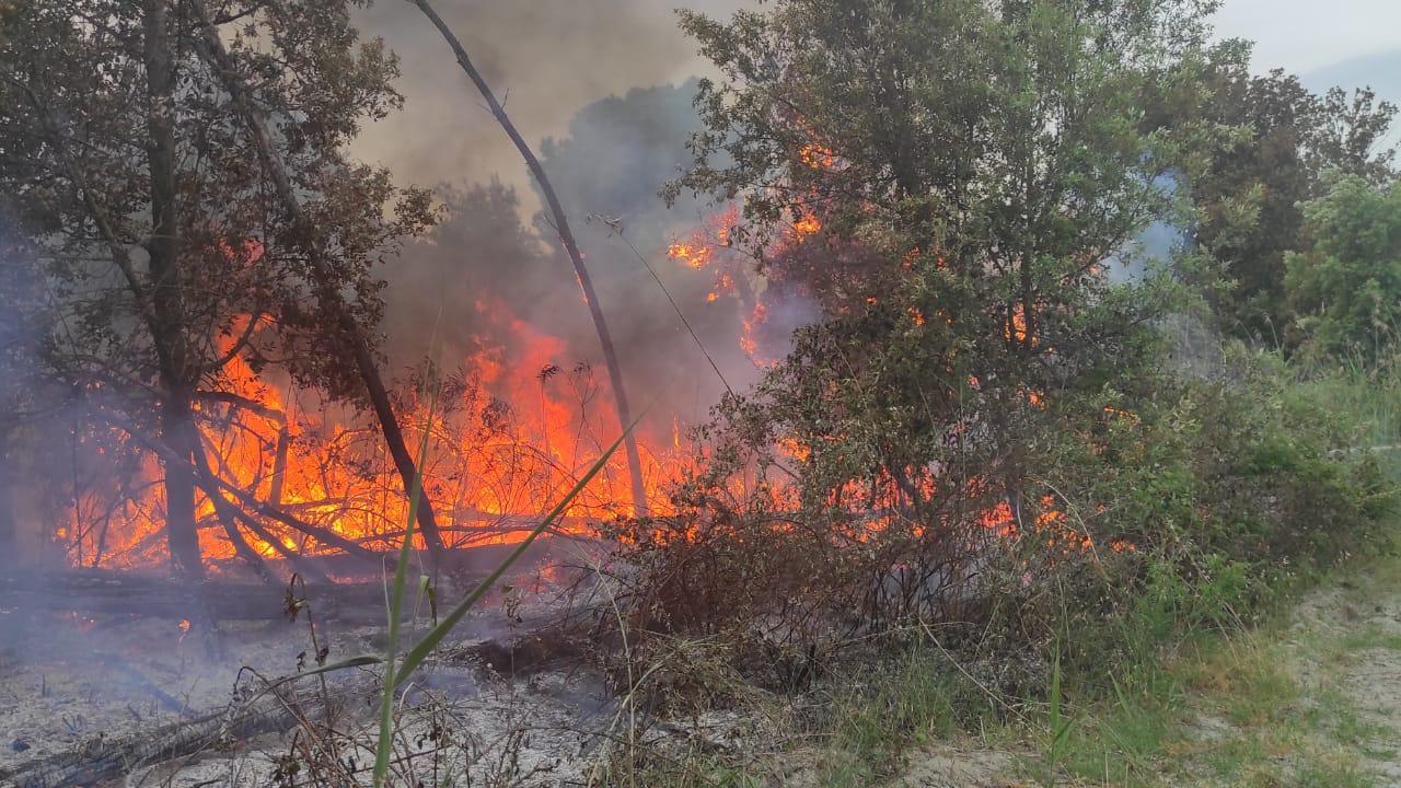 Per il piromane del Delta può esserci una svolta