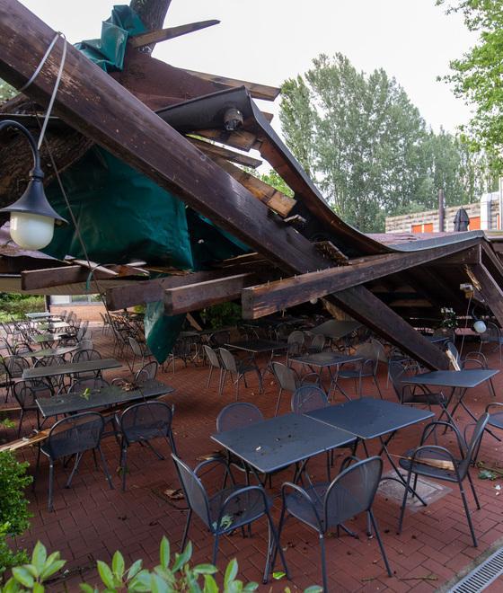 Ferrara. Tempesta di grandine e vento: alberi caduti, danni nei campi 