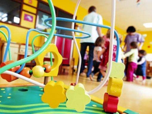 Nidi in appalto nella Bassa modenese, 50 tate a rischio 