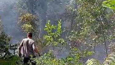 Mesola. La pineta ancora a fuoco: "Adesso basta"