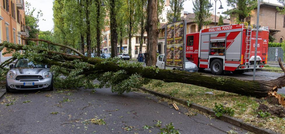 Quaranta alberi sradicati a Ferrara. Il maltempo preoccupa 