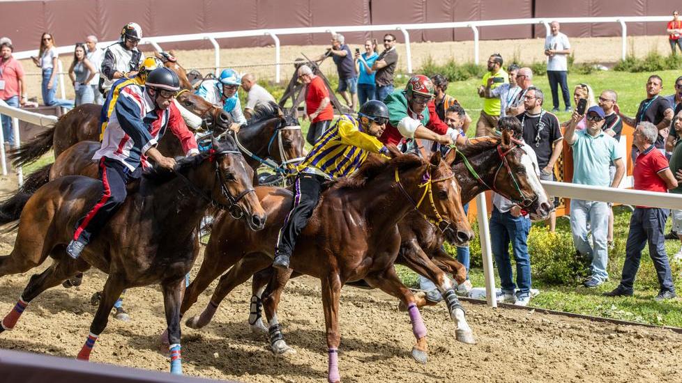 Palio di Ferrara in Piazza Ariostea: è arrivato il giorno della verità