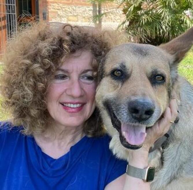 Animali, il mercato del cibo per i pet è in costante crescita nel mondo 