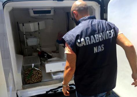 Generi alimentari scaduti. Nei guai decine di negozi nel Ferrarese 