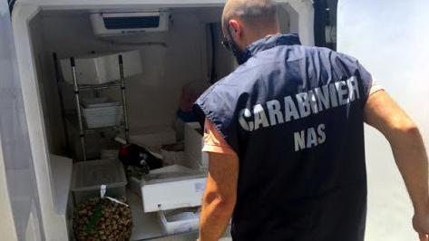 Generi alimentari scaduti. Nei guai decine di negozi nel Ferrarese