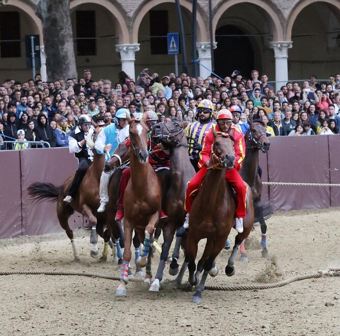 Palio “promosso” e il Comune di Ferrara pensa a un’edizione notturna con gare 