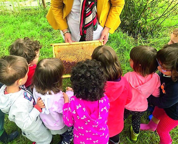 Albinea aiuta le api e inaugura la sua prima arnia comunale