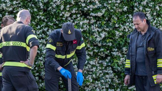 Precipita in una vasca biologica: grave un bimbo di tredici mesi