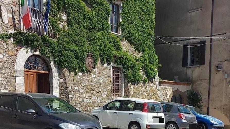Manciano: dopo l'ennesimo attacco, pastore scarica le pecore morte davanti al Comune