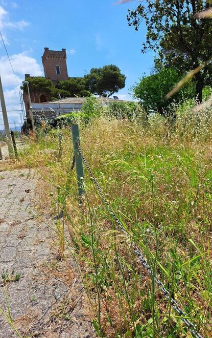 Erba alta davanti alla stazione e la via Aurelia è una savana 