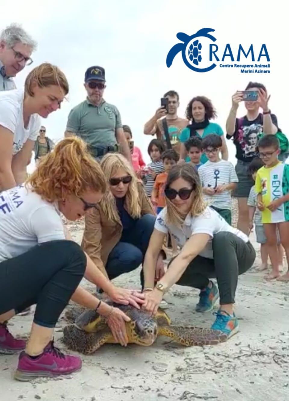 Asinara, liberata una caretta caretta di 27 chili
