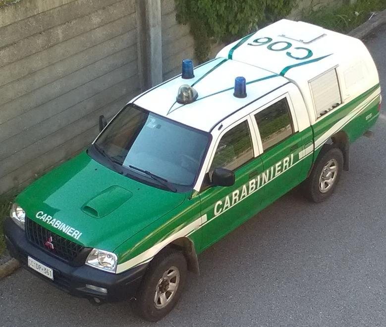 Cattivi odori sulla città Indagine dei carabinieri