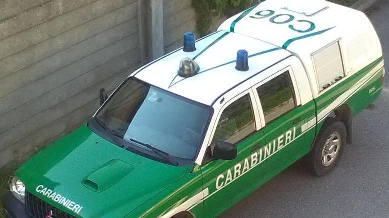 Cattivi odori sulla città Indagine dei carabinieri