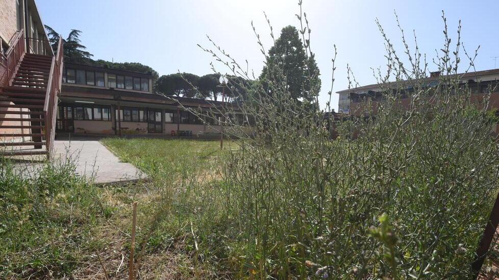 Erba incolta a scuola, la protesta dei genitori