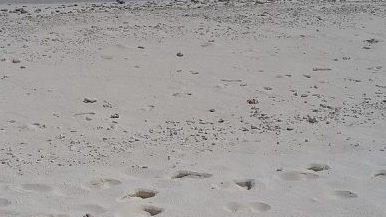 Prima spiaggia per nudisti nella Riviera del Corallo