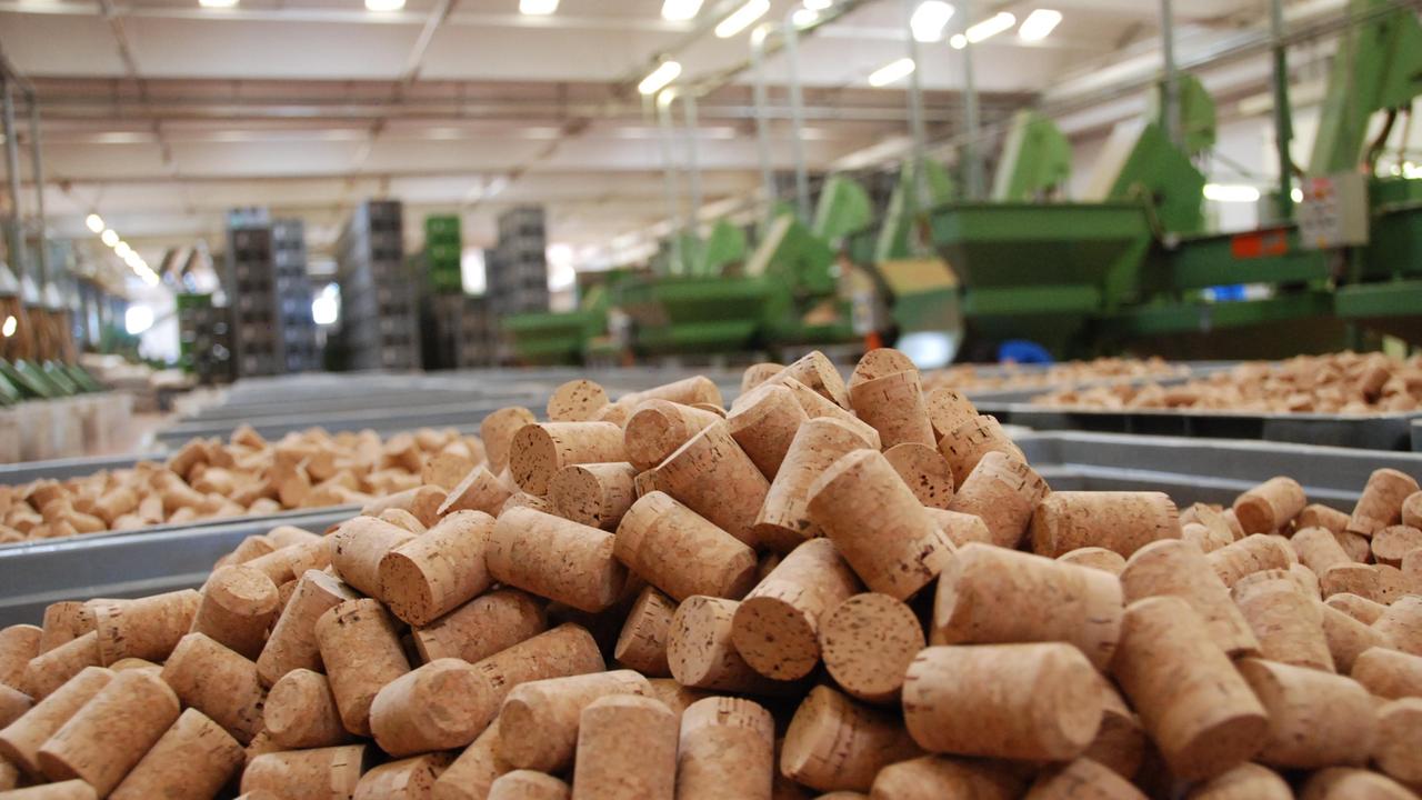 Tappi di sughero: ogni anno in Italia se ne producono 1 miliardo e mezzo