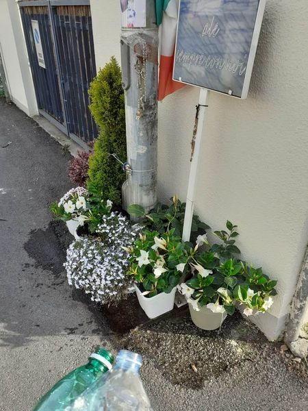 Viareggio, danneggiata la targa in ricordo di Alessandro Cecchi: «Ecco come l'hanno ridotta»