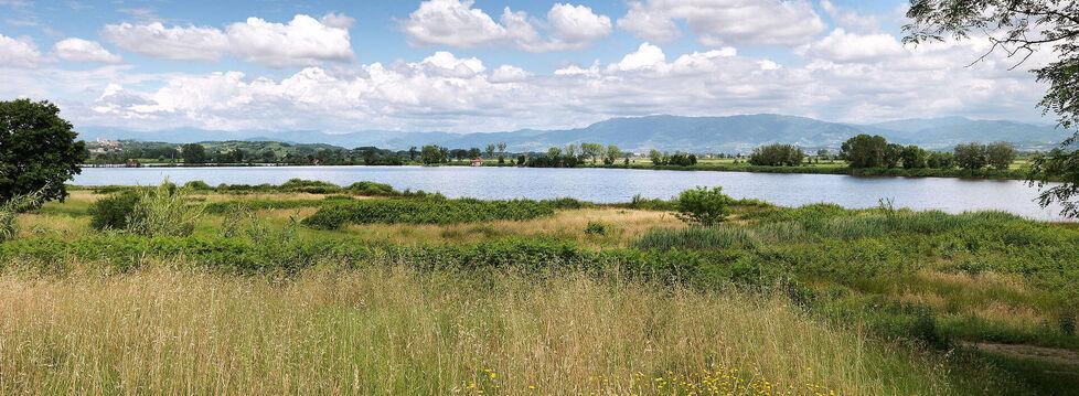 Lago della Gherardesca: dal giudice via libera al Comune di Capannori per l’acquisto. Ecco quanto vale