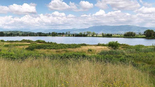Lago della Gherardesca: dal giudice via libera al Comune di Capannori per l’acquisto. Ecco quanto vale