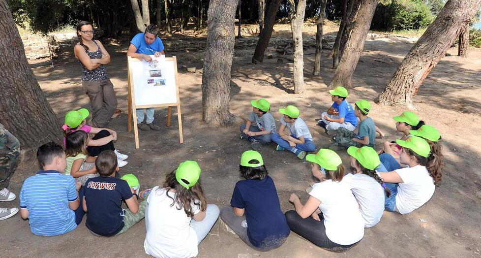 Centri estivi per i bambini, ecco le occasioni nel comune di Piombino