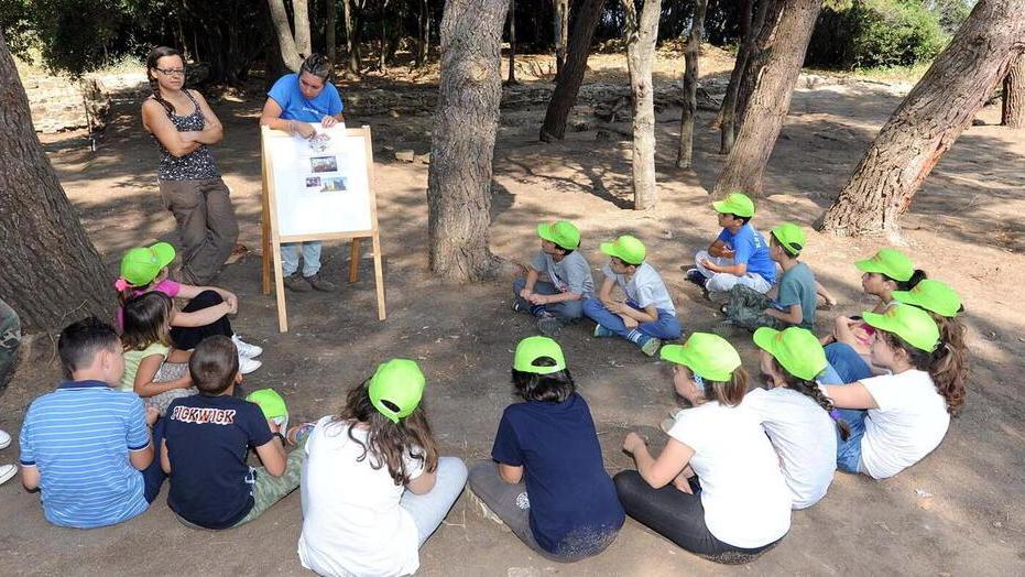 Centri estivi per i bambini, ecco le occasioni nel comune di Piombino