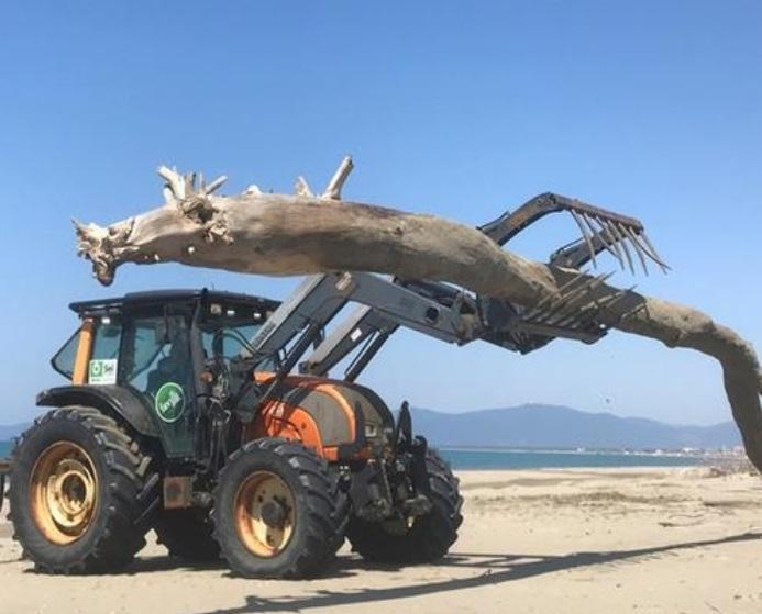 Un trattore per la pulizia della spiaggia