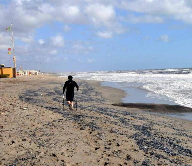 Un tratto della nostra  costa