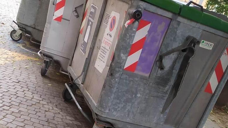 Modena Disabili in centro: «Per 4 giorni bloccati da furgoni e cassonetti»