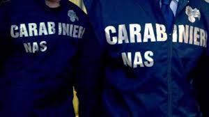 Faceva il pane tra muffa e blatte: locale chiuso a Cagliari