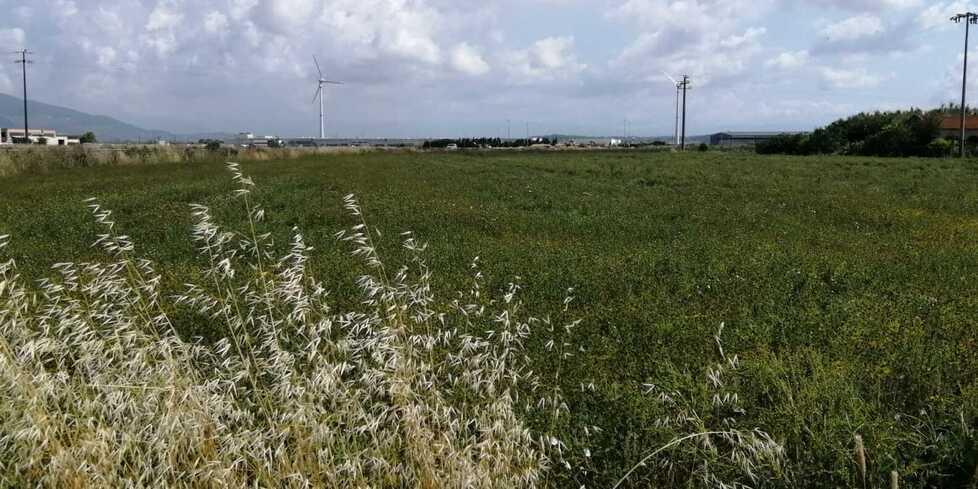 un terreno tra Santa Lucia e la strada di Patto