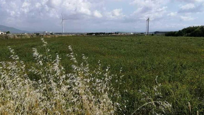 un terreno tra Santa Lucia e la strada di Patto