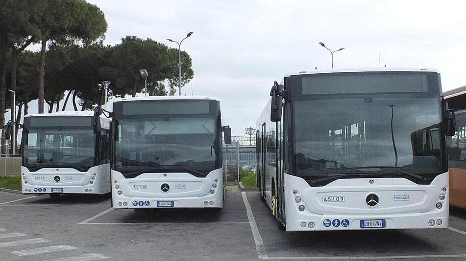 Marina di Bibbona, nuovo percorso del bus