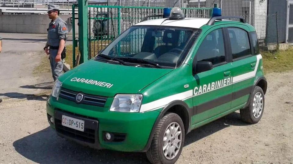 L'operazione è stata condotta dai carabinieri forestali (Foto di repertorio)