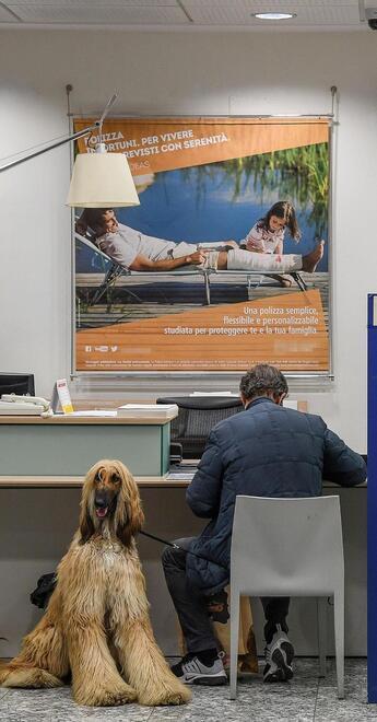 La tensione dei mercati produce effetti su famiglie, lavoratori e imprenditori