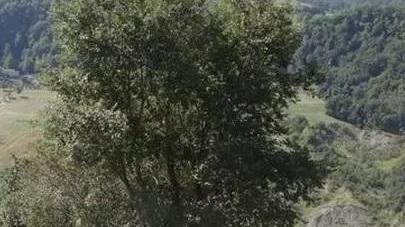 Nonantola. La Romea Nonantolana entra nel futuro con un nuovo sito