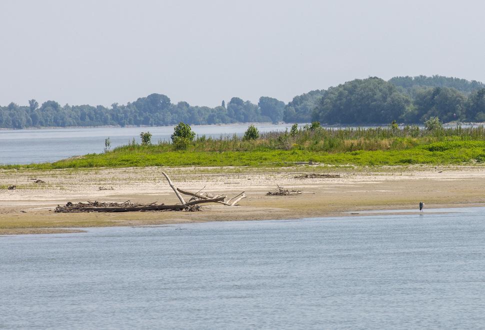 Ferrara, appello al risparmio idrico: «Allarme siccità: consumate poca acqua»