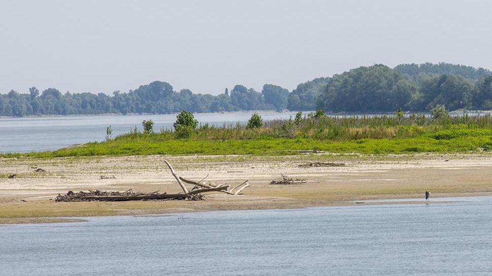 Ferrara, appello al risparmio idrico: «Allarme siccità: consumate poca acqua»