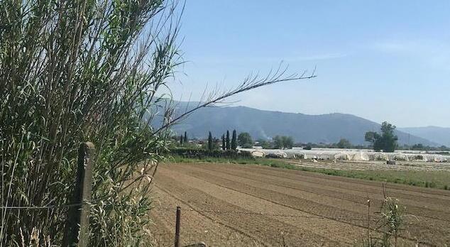 Prato, si espande il Macrolotto agricolo: serre cinesi a rischio inquinamento 
