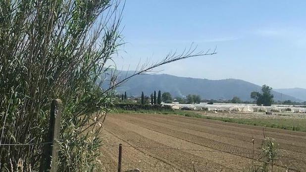 Prato, si espande il Macrolotto agricolo: serre cinesi a rischio inquinamento