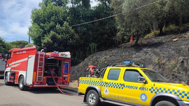 A fuoco olivi e vegetazione: torna l’ipotesi del piromane