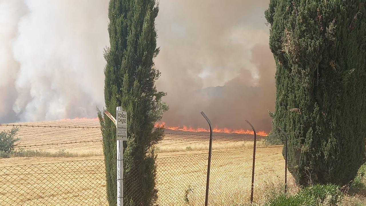 Il rogo nel comune di Capalbio