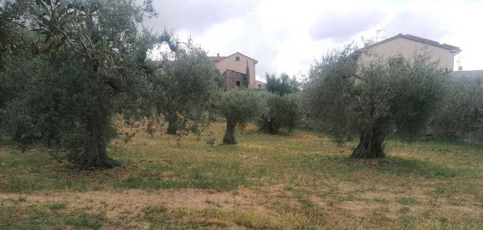 Casa di comunità col Pnrr. Il finanziamento è ufficiale 