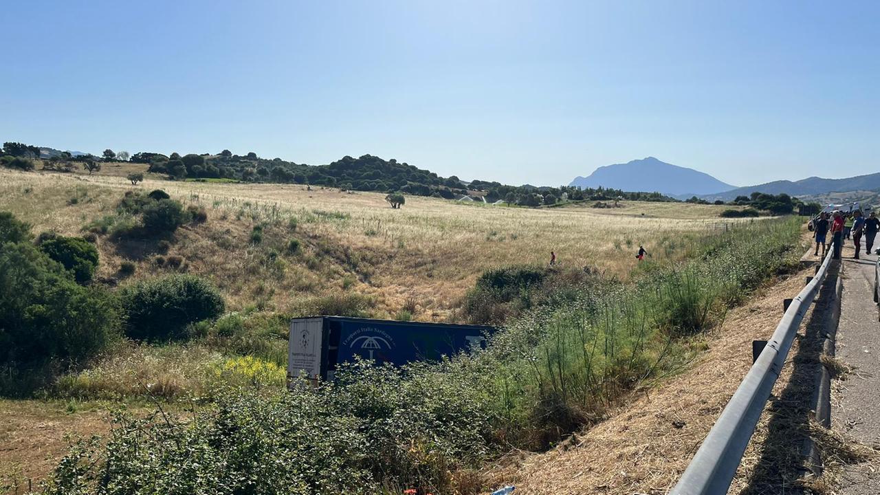 Perde il controllo del camion, finisce fuori strada e sbatte su un pilone: autista ferito sulla 131 dcn