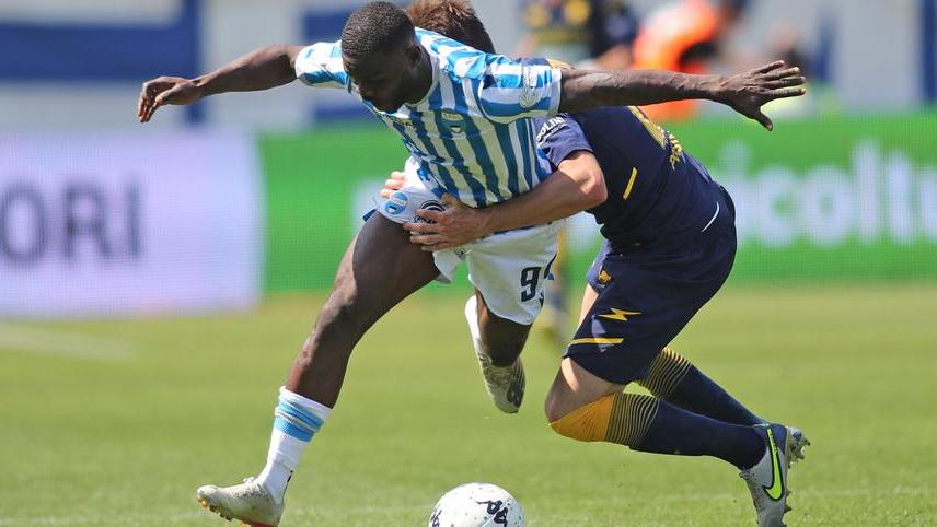 Spal, che asta per Latte Lath. Adesso si fa avanti anche il Bari