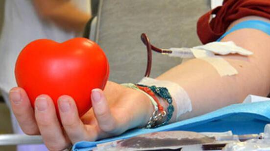 Donazioni di sangue. I numeri preoccupano Avis