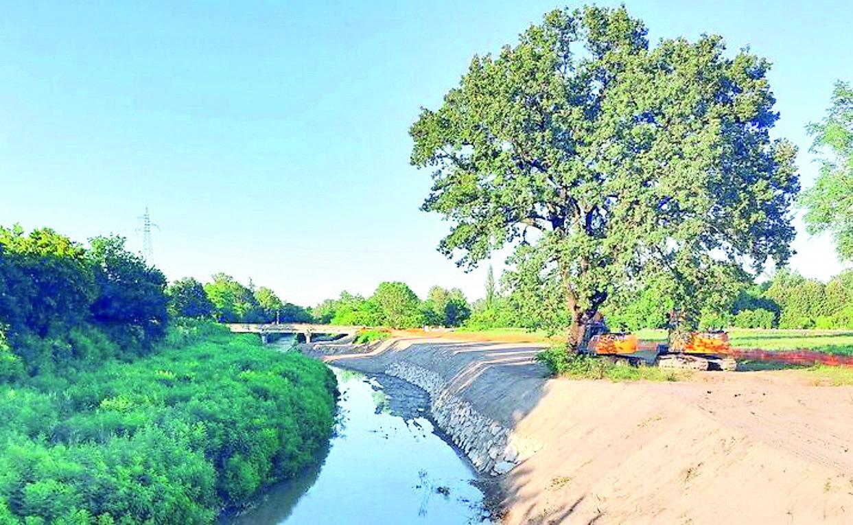 Lavori sulla sponda del Tresinaro a Rubiera: opere per oltre 250mila euro