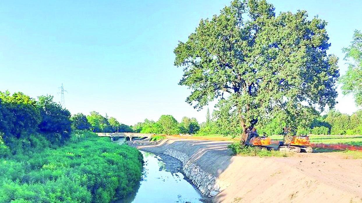 Lavori sulla sponda del Tresinaro a Rubiera: opere per oltre 250mila euro