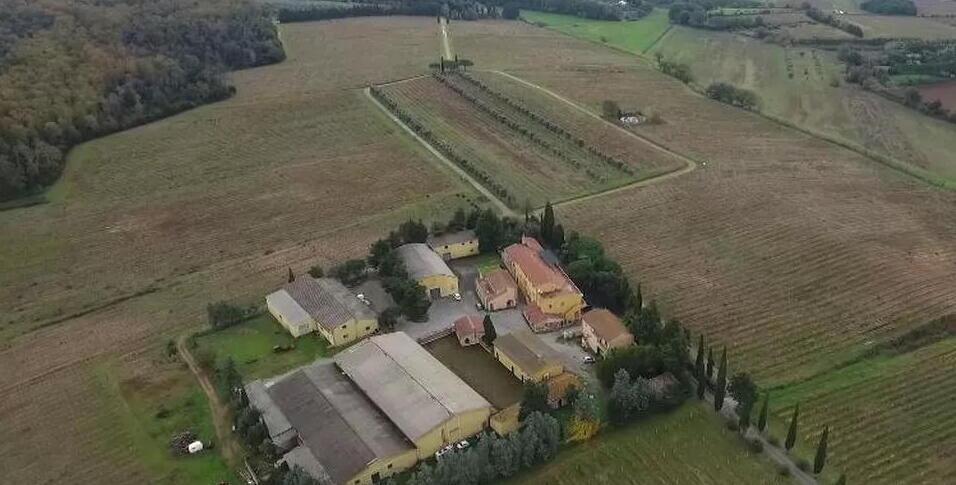 Venduta la Fattoria di Poggio Gagliardo: la cifra e chi l'ha acquistata