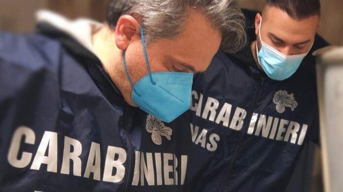 Due diffide e una multa da 5mila euro per aziende agricole in provincia di Reggio Emilia