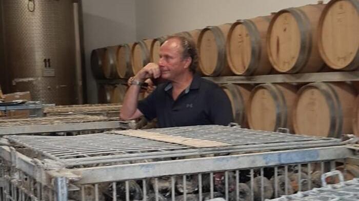 Le bottiglie di vino tirate su dopo essere state in fondo al mare tra Talamone e l'Argentario (Foto Ansa)